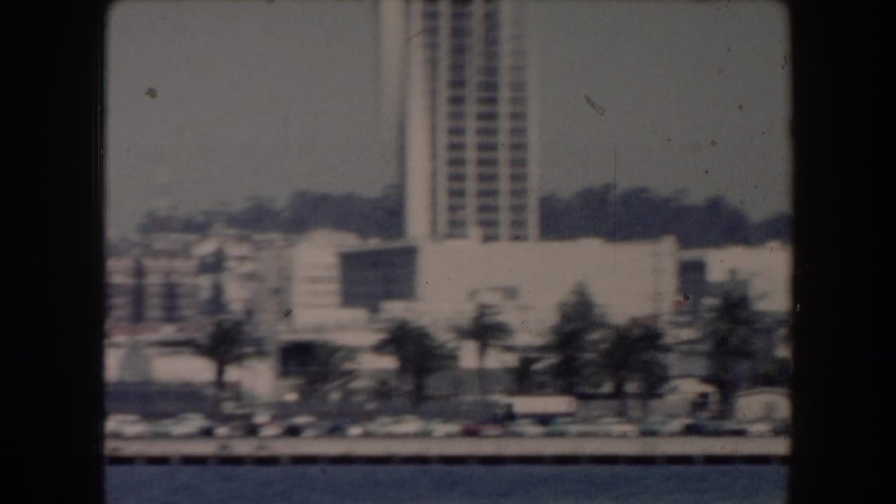 Urban waterfront with parked cars, palm trees, and high-rise buildings.