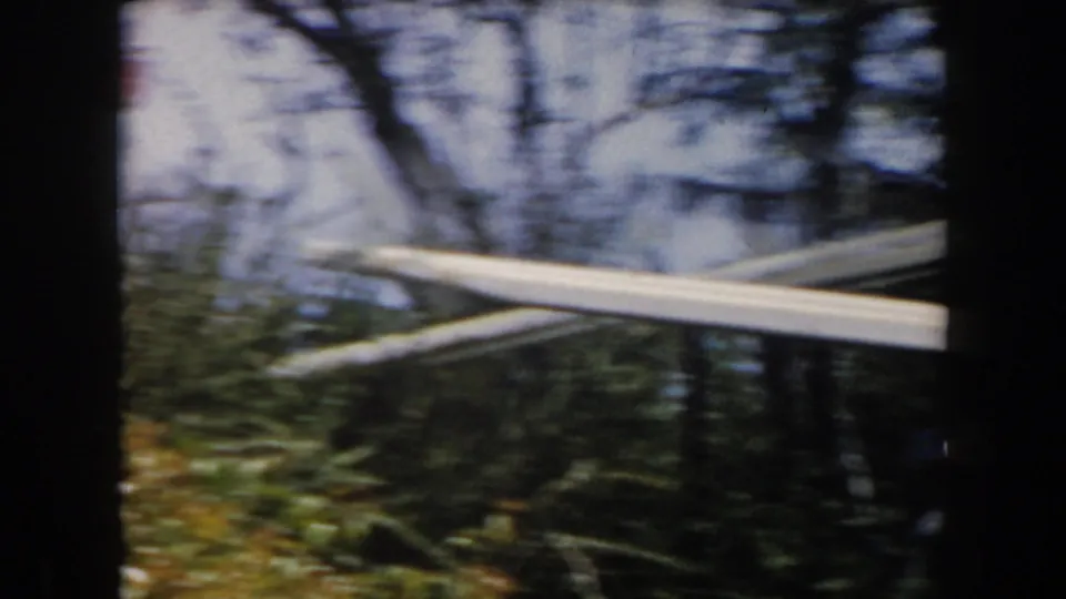 The final frame shows a pale elevated guideway or track crossing through trees under bright sky, with the train mostly out of view.