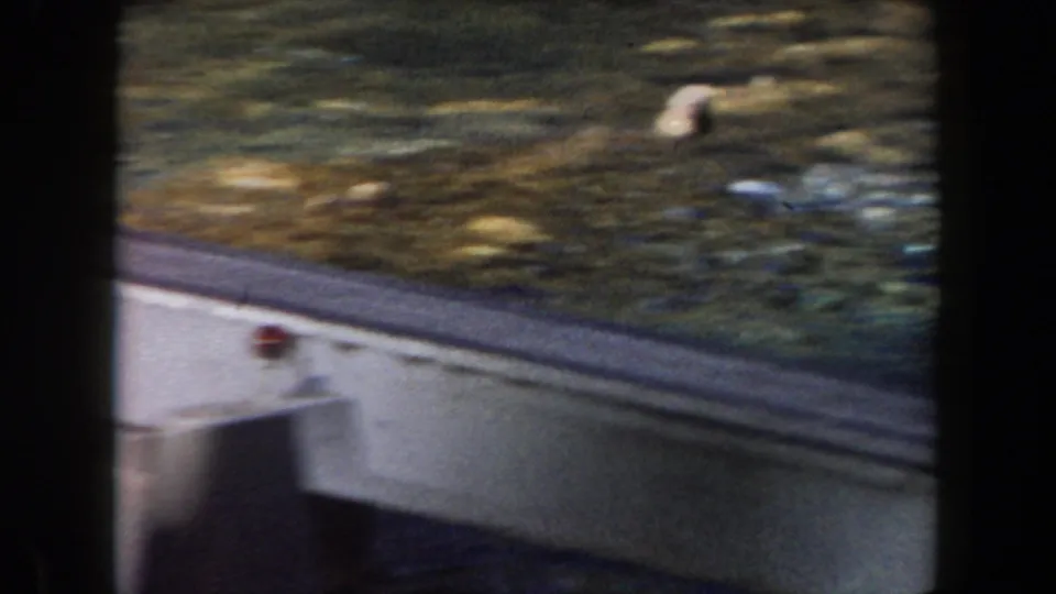A soft 8mm frame of a vessel railing and deck edge, with California shoreline greenery and small bright objects beyond.