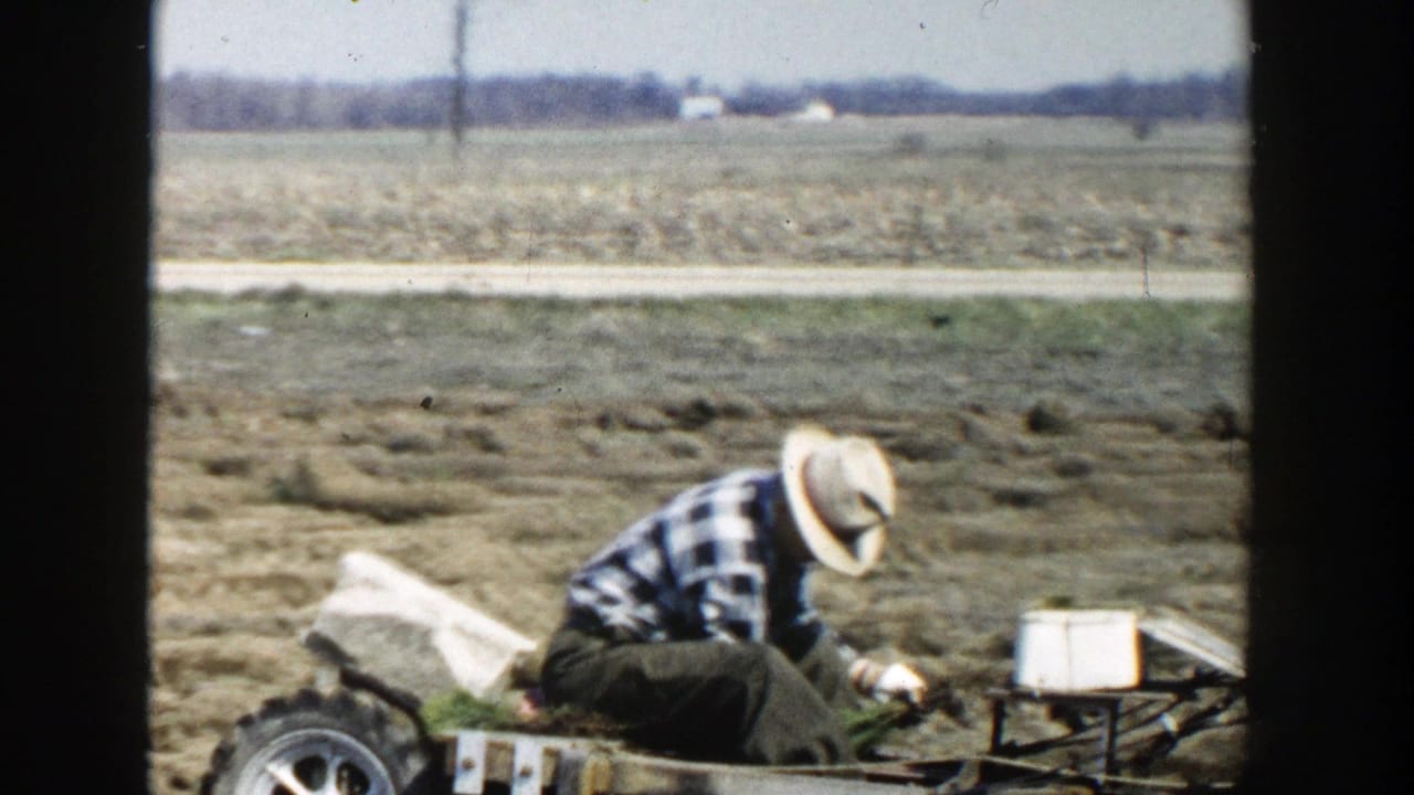 Farmer bends over crops or equipment on a small tractor attachment.