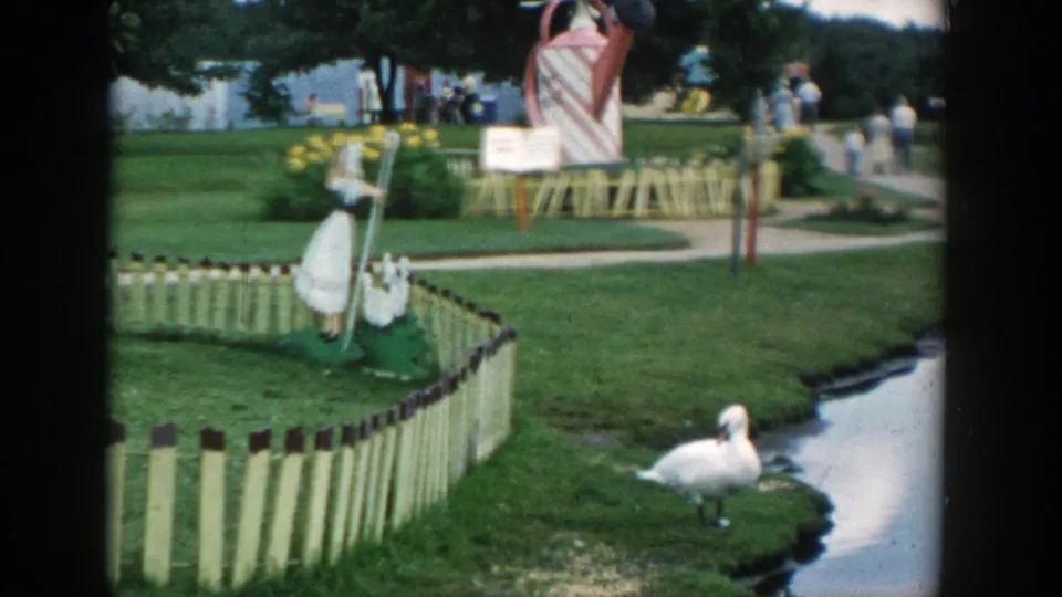 1954 Wisconsin Dells scene with a white swan at the pond edge, painted fencing, manicured grass, decorative figures, and distant park visitors.