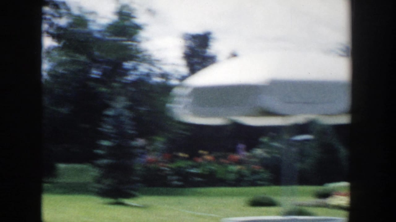 Blurred garden view with lawn, trees, flowerbeds, and a large white umbrella.