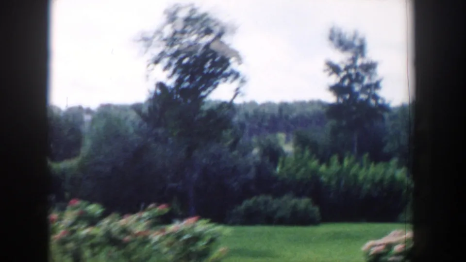 1954 Wisconsin Dells public garden view with an open lawn, dense shrubs, flowerbeds, and trees filmed from a visitor's viewpoint.