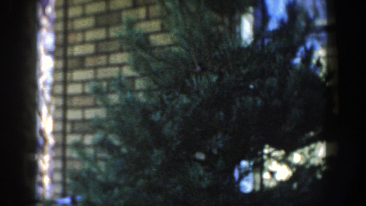 1954 Wisconsin Dells 8mm view of evergreen foliage in front of brickwork, with shadowed frame edges and blue highlights.