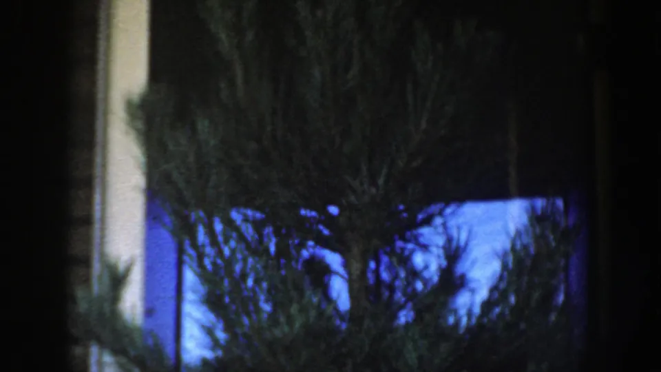 Wisconsin Dells 1954 frame with a dark evergreen beside a white-trimmed house opening under blue dusk or dawn light.