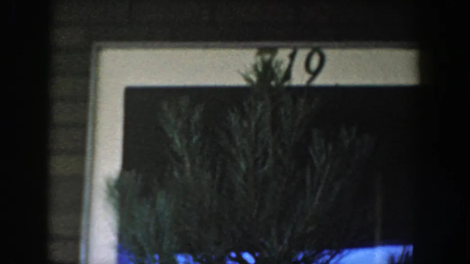 1954 Wisconsin Dells home-movie frame showing house number 19 above a white-framed porch or window, partly hidden by evergreen branches.