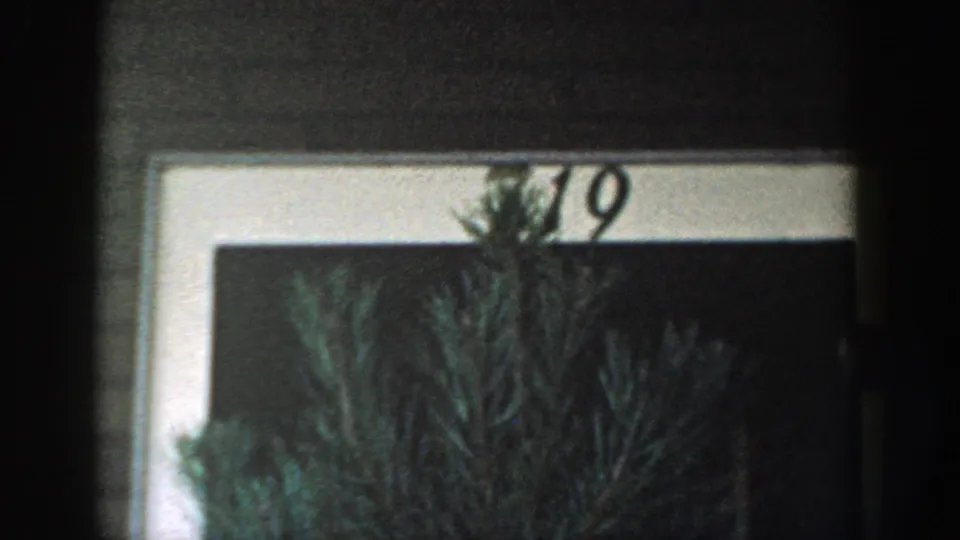 Late 1954 Wisconsin Dells frame with the number 19 above a white-framed house opening and evergreen branches in the foreground.