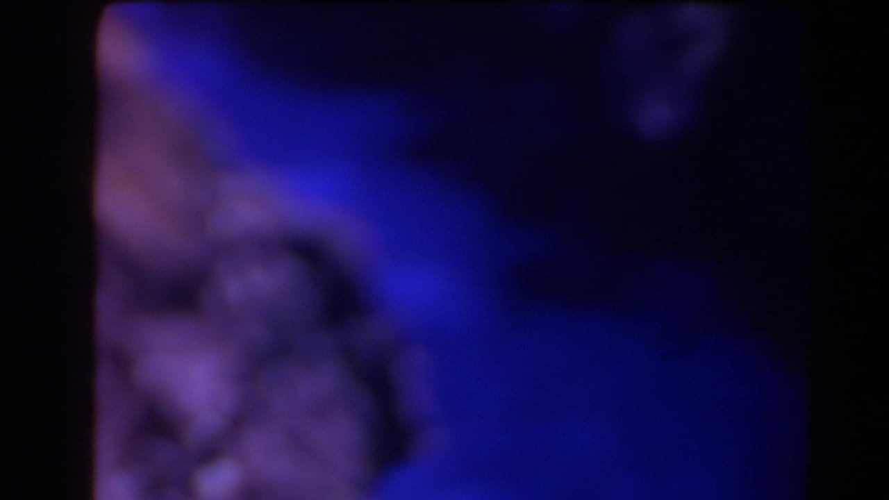 Blurred grey rock shapes and blue-purple shadow within dark 8mm frame borders.