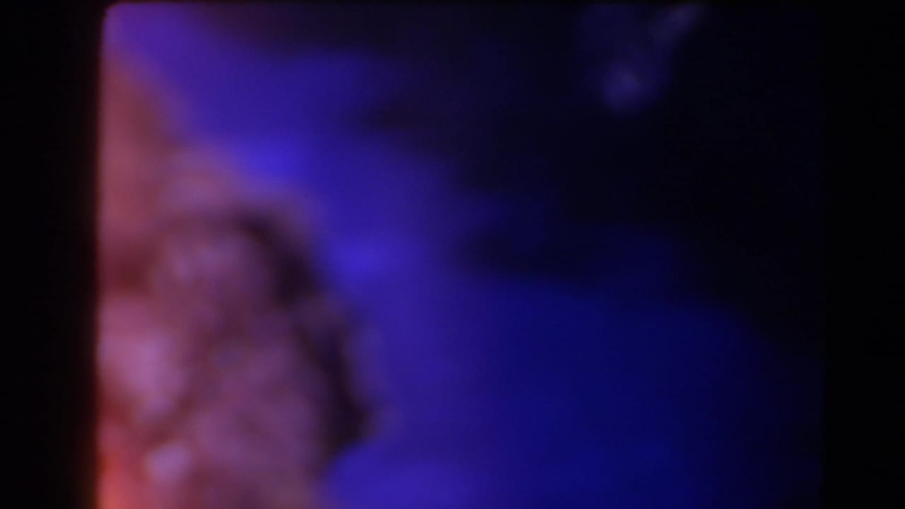 Soft reddish rock form against a deep blue-purple background and dark borders.