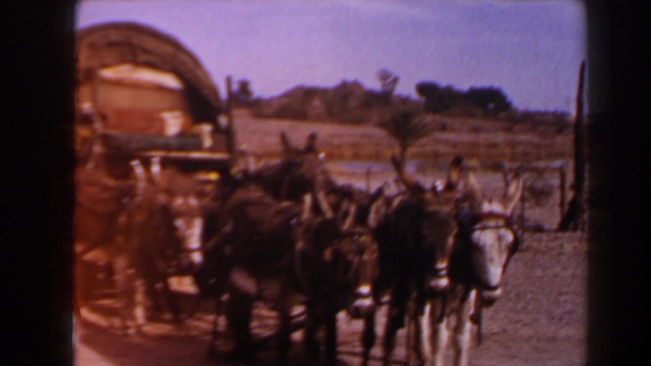 1958 Texas 8mm frame showing a donkey team harnessed to a covered wagon in an arid outdoor setting.
