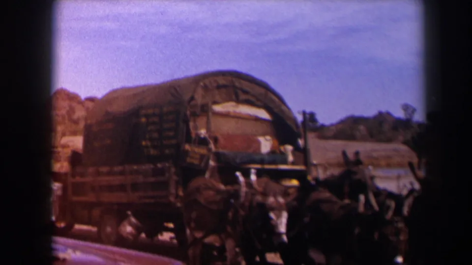 The canvas-topped wagon and donkey team appear in profile, with soft color and gate edges from 8mm film.