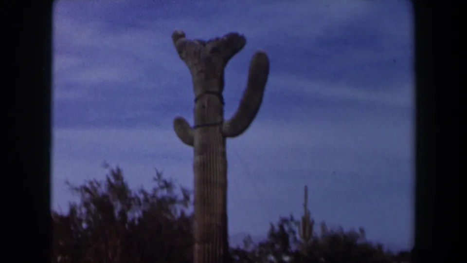 1958 Texas 8mm frame with a tall cactus and raised arms standing above low desert brush under blue sky.