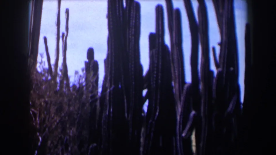 1958 Texas 8mm frame showing tall cactus silhouettes and desert scrub against pale daylight.