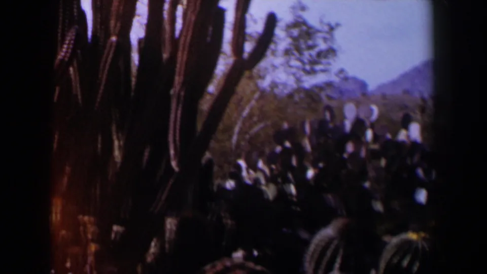 1958 Texas 8mm still with shaded columnar cactus, prickly pear pads, round cacti, sparse shrubs, and distant hills.