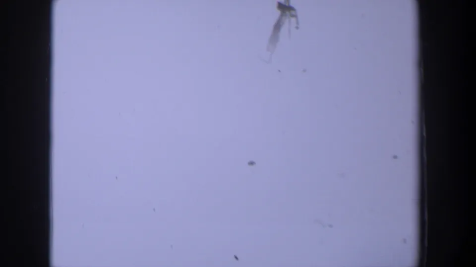 1958 Texas 8mm frame with a pale lavender-white blank field, dark film edges, dust, and a larger blemish near the upper right.