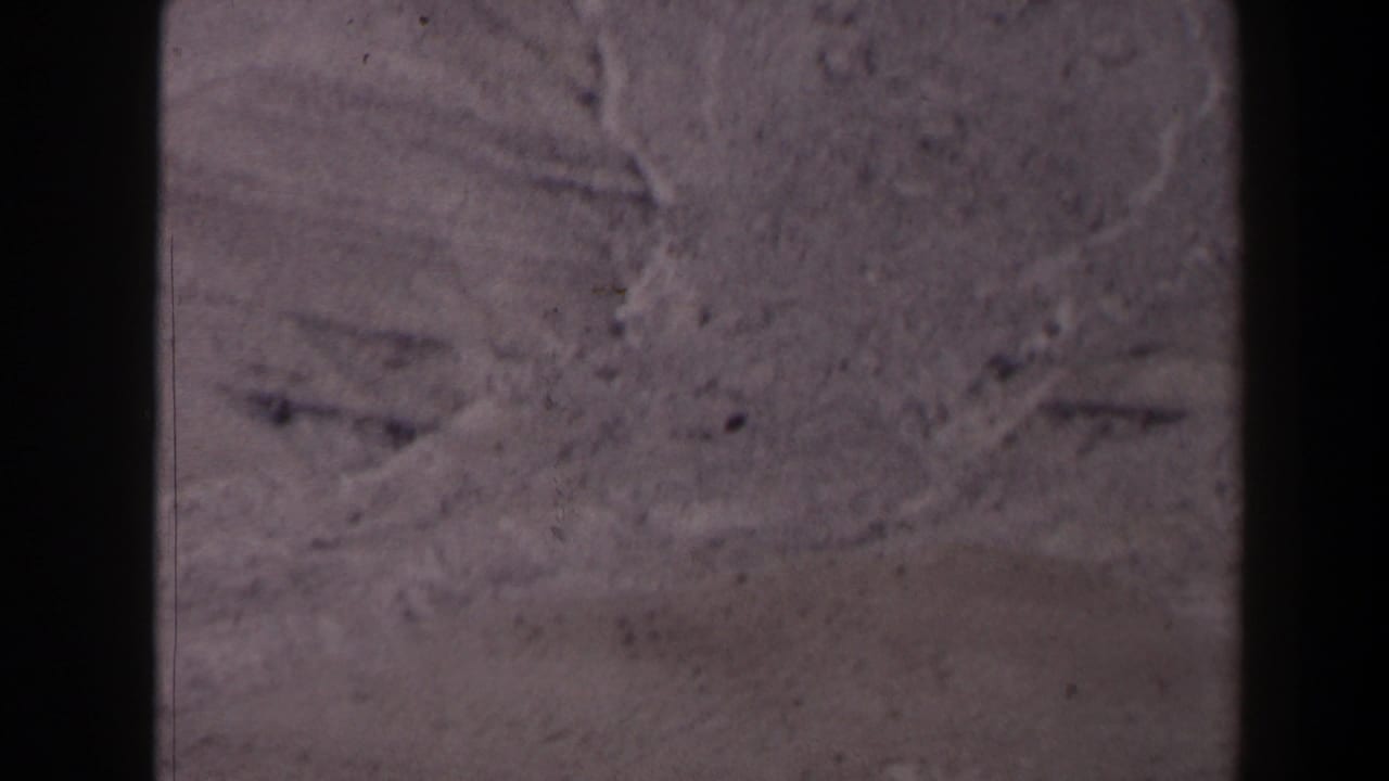 1958 Texas 8mm frame showing a close, soft-focused view of weathered gray rock with cracks and surface marks.