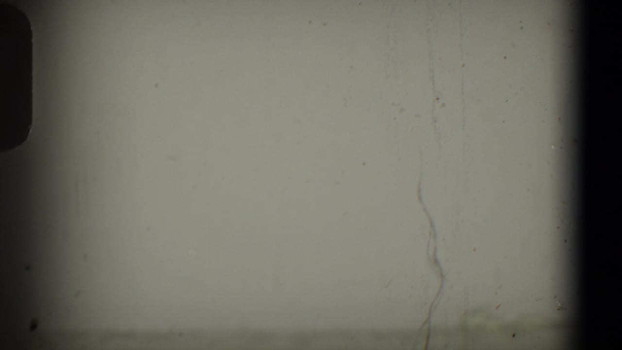 Mostly pale sky and dark film border with faint trees along the lower edge.