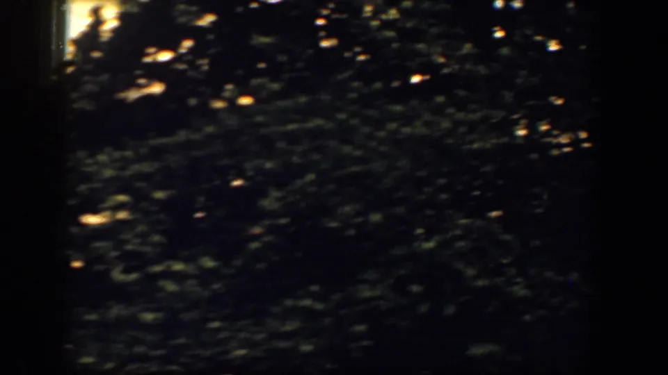 Home-movie frame dominated by dark tree foliage and shadow, with a bright vertical edge at the far left.