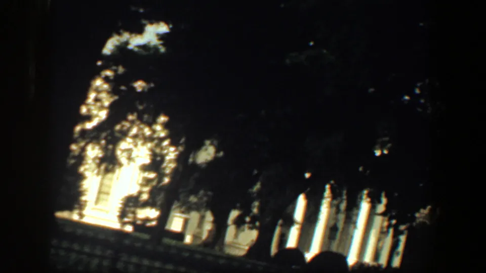 Washington, DC landmark view with the White House columns and facade glimpsed through trees, strong sunlight, and dark 8mm frame edges.