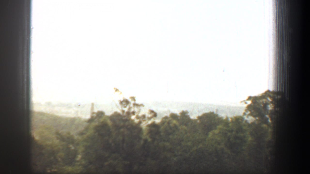 Bright hazy treetop view seen through dark window framing.