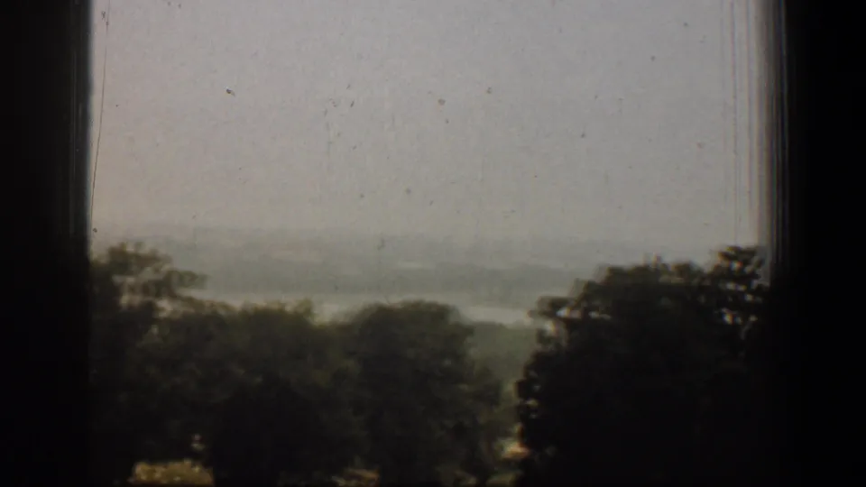 1961 home-movie frame from Washington, DC showing a darker treetop foreground and pale distant haze through glass.