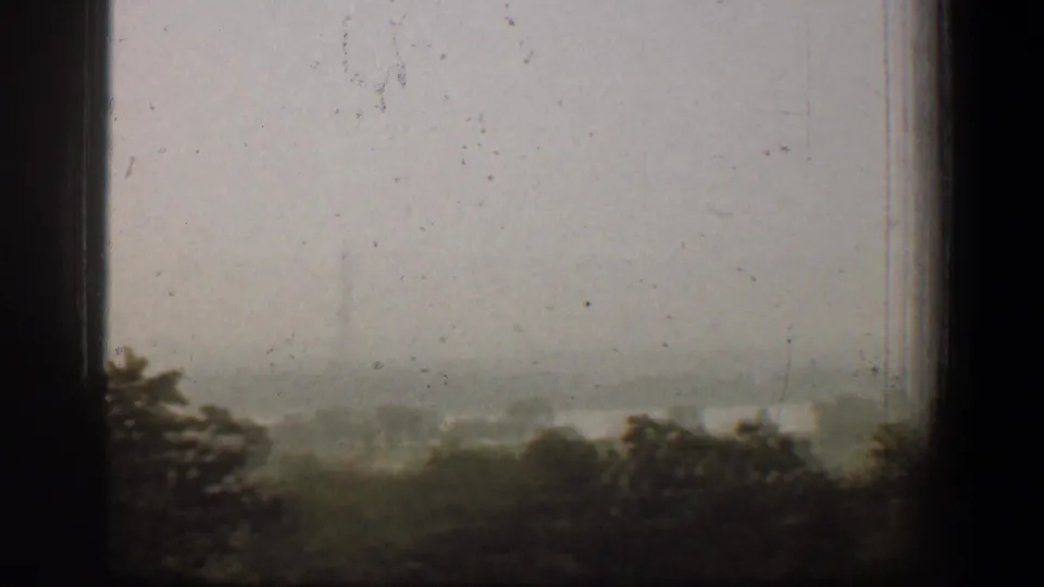 A fog-softened Washington, DC landscape appears through the window, with treetops and faint distant forms partly obscured by haze.