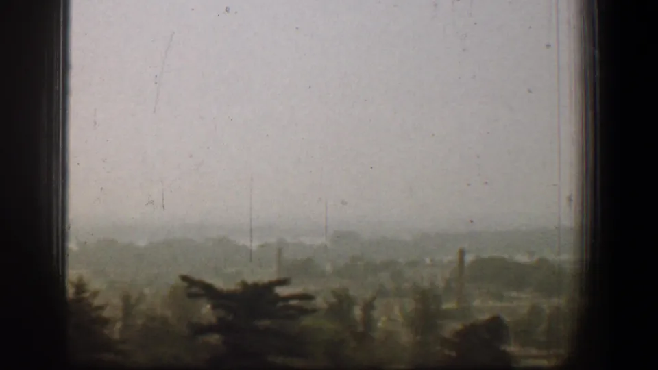 A final 1961 Washington, DC frame holds on the foggy tree view through the window, with distant shapes barely visible in the haze.