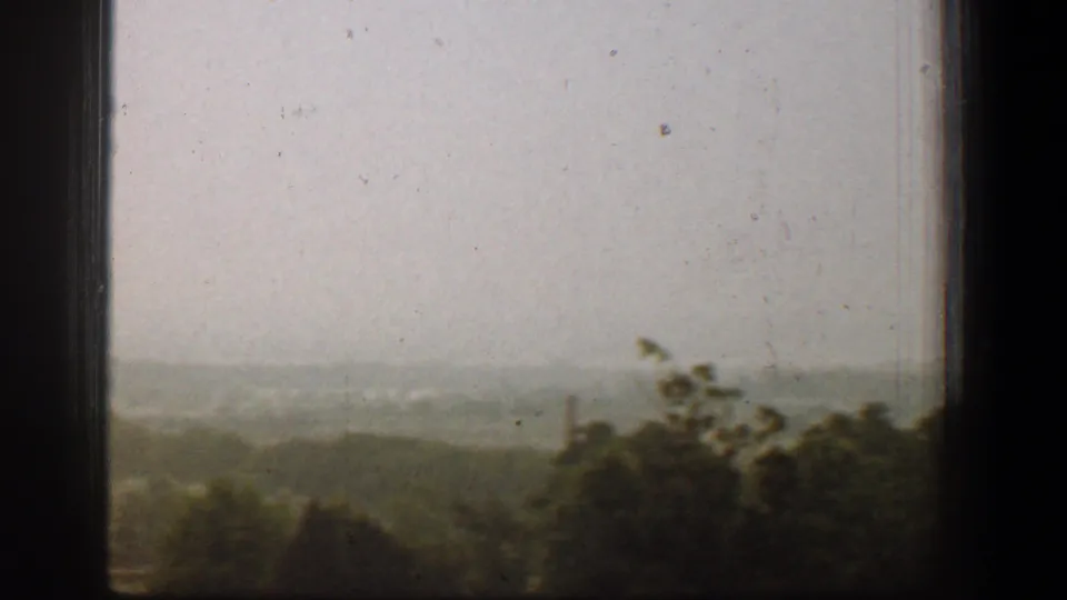 Hazy 1961 Washington, DC outlook with trees and distant structures divided by a dark window mullion.