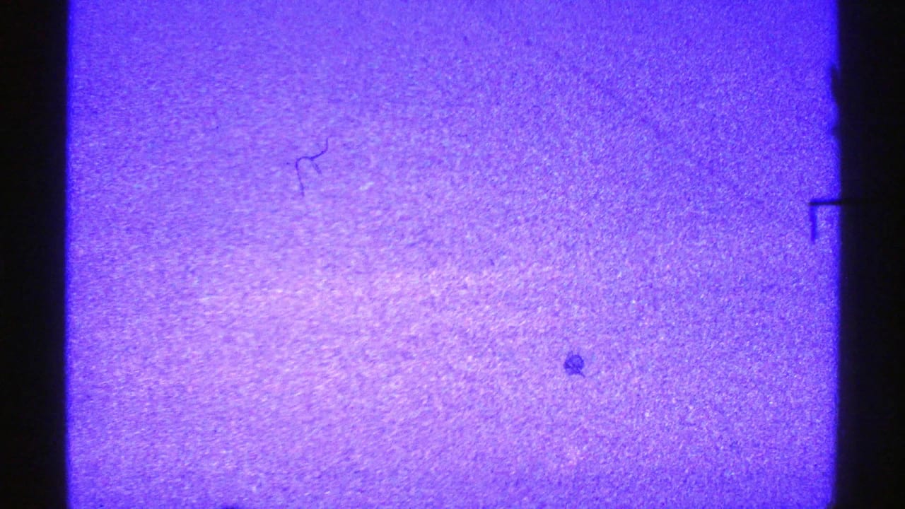 1969 Nevada 8mm frame with blue-purple sky, dark pole silhouettes, and heavy film grain.