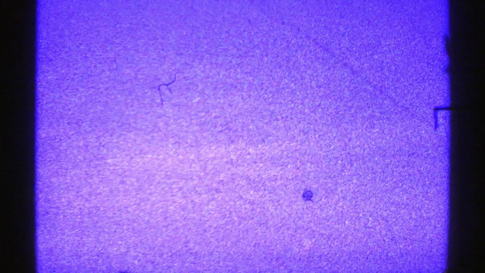 1969 Nevada 8mm frame with blue-purple sky, dark pole silhouettes, and heavy film grain.