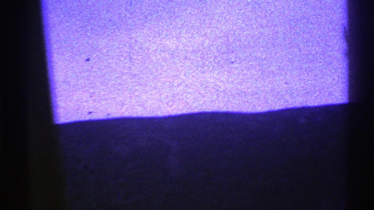 A divided vehicle window frames a purple-blue Nevada landscape, with distant hills and a dark foreground from the car interior.