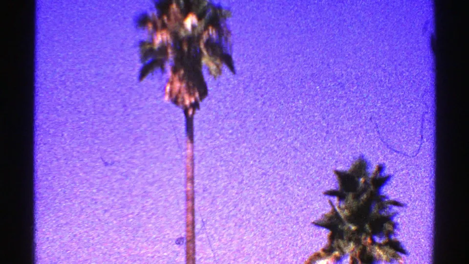 1969 Nevada home-movie frame of tall palm trees rising against a saturated purple-blue sky, with grain and color shift visible.