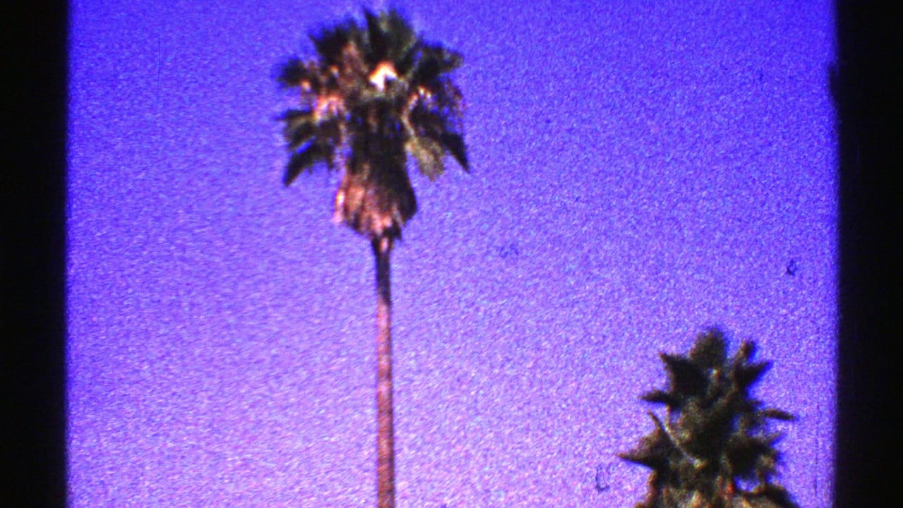 Tall palm tree against a saturated purple-blue sky with dark film edges.