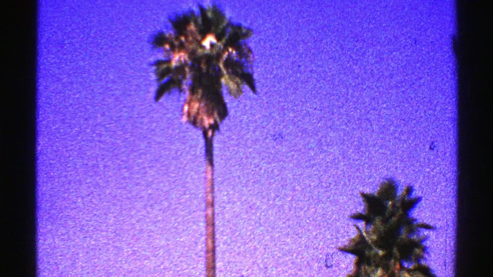 1969 Nevada 8mm frame showing a tall palm tree and partial second palm against a vivid purple-blue sky.