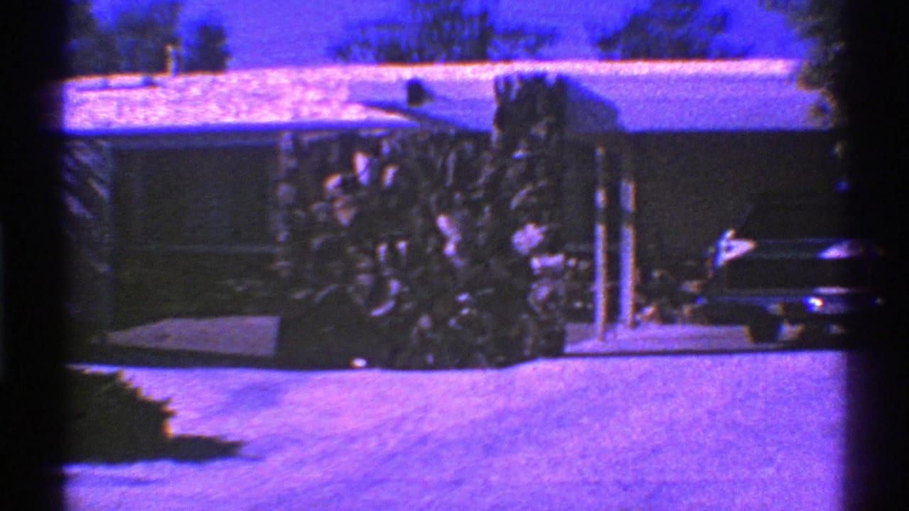 Parked car in a driveway beside a single-story house and shrubs.