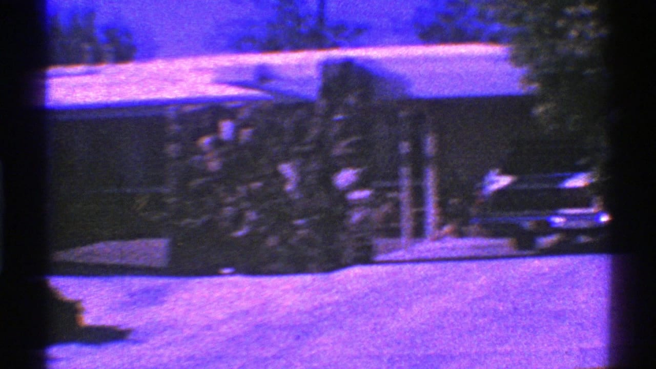 Parked car beside a single-story house with shrubs and trees.