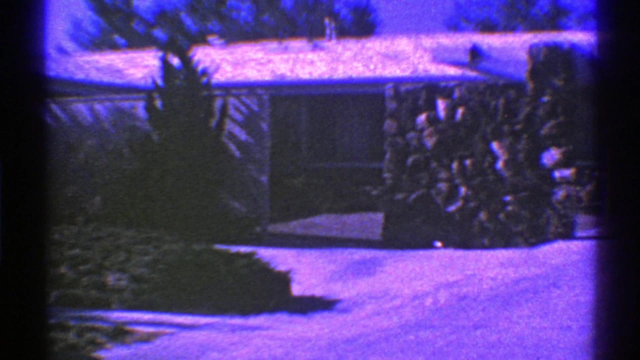 Single-story house facade with driveway and dense shrubs.