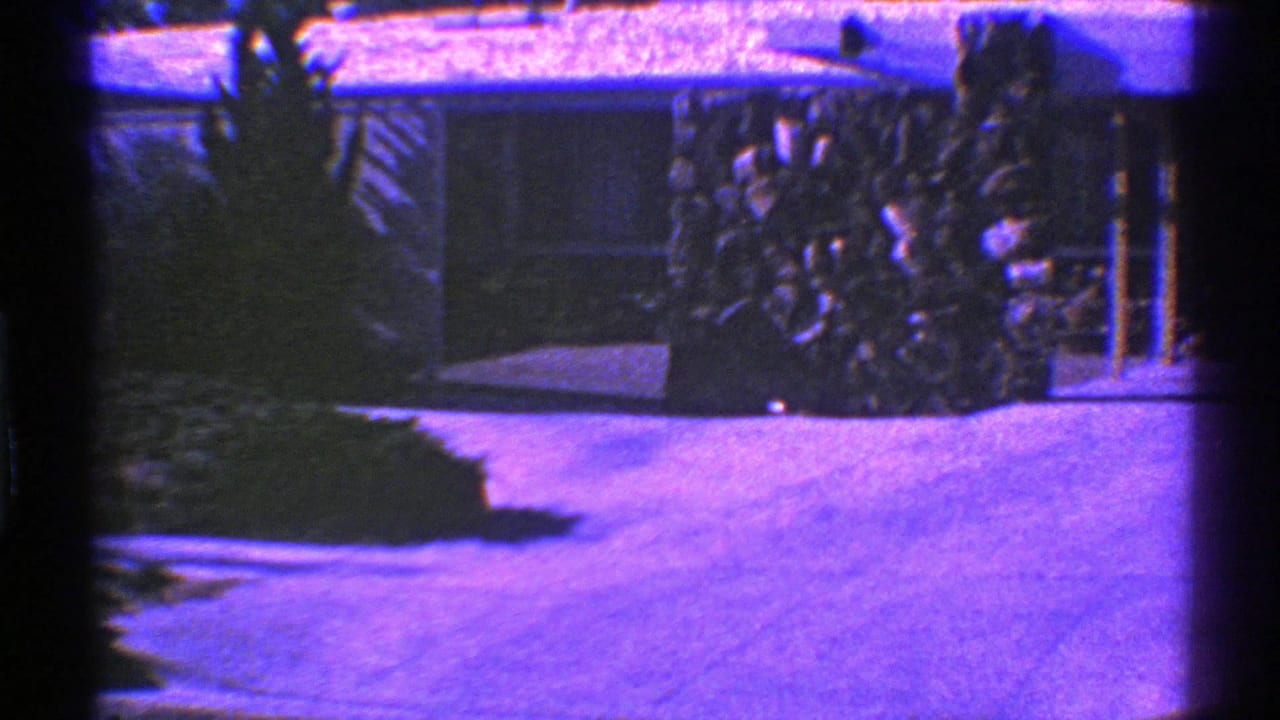Purple-tinted view of a stone house exterior with a paved walkway and dark window.