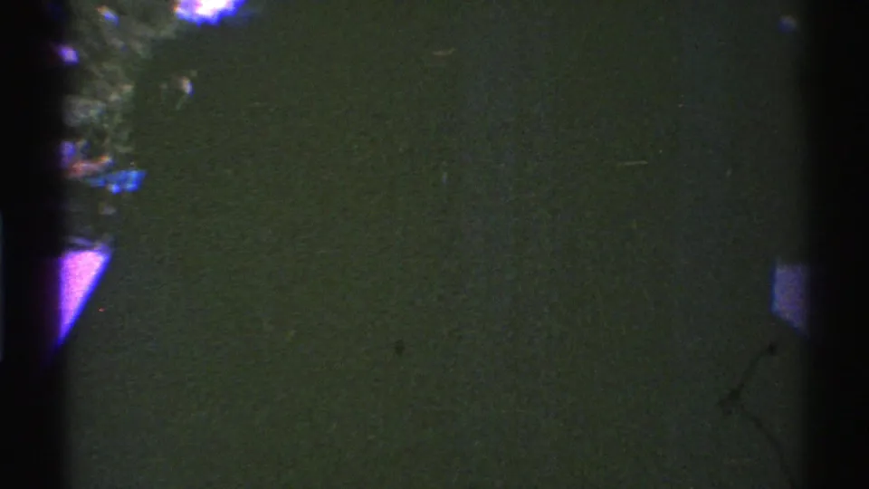 Dark final 8mm frame with green texture, purple edge flare, grain, and minimal identifiable detail.