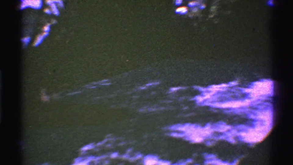 Dim 1969 Nevada garden view with dark window framing, soft tree shadows, and bright magenta-blue foliage patches.
