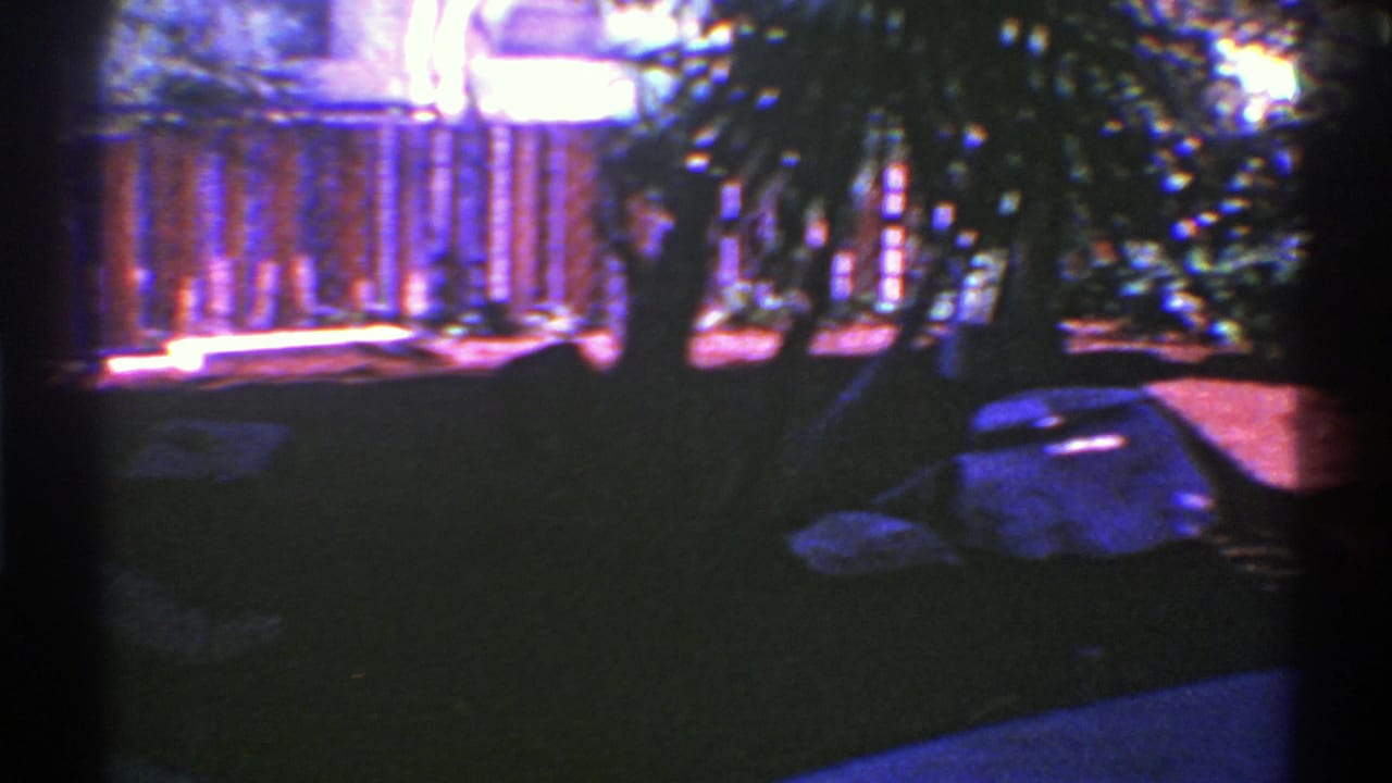 1969 Nevada residential garden view showing a wooden fence, tree trunk, dark foliage, and bright purple-blue ground highlights.