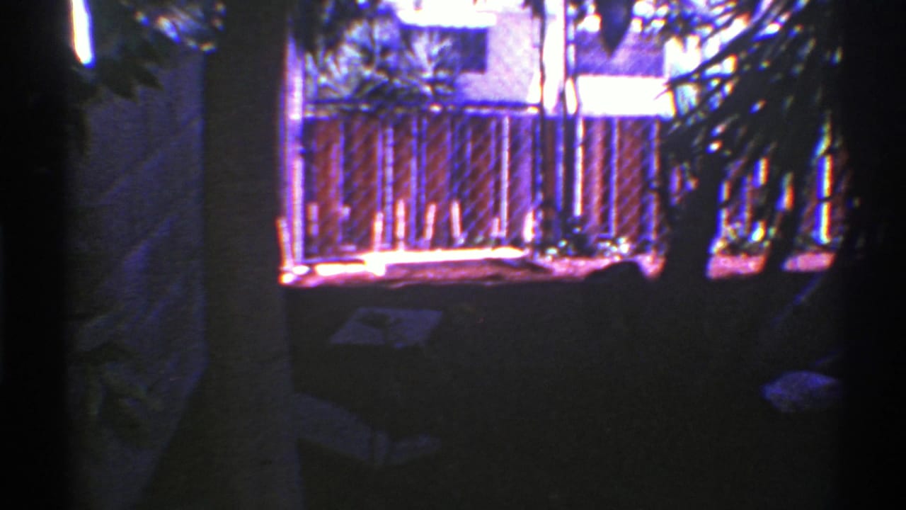 Shaded trees frame a red wooden deck and fence in bright sunlight.