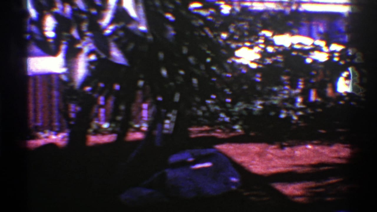 1969 Nevada backyard view with dark foreground trunks, leafy plants, and a red deck in strong sun.