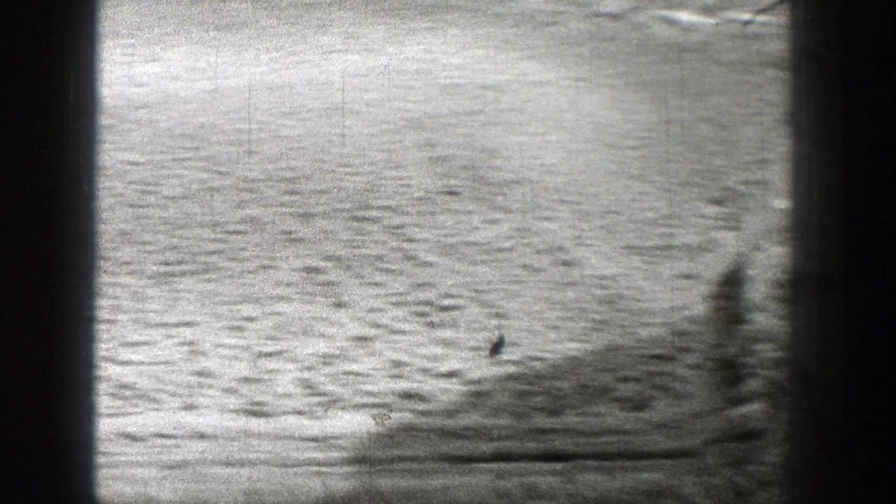 Dry, textured ground with a faint channel and dark obstruction at the right edge.