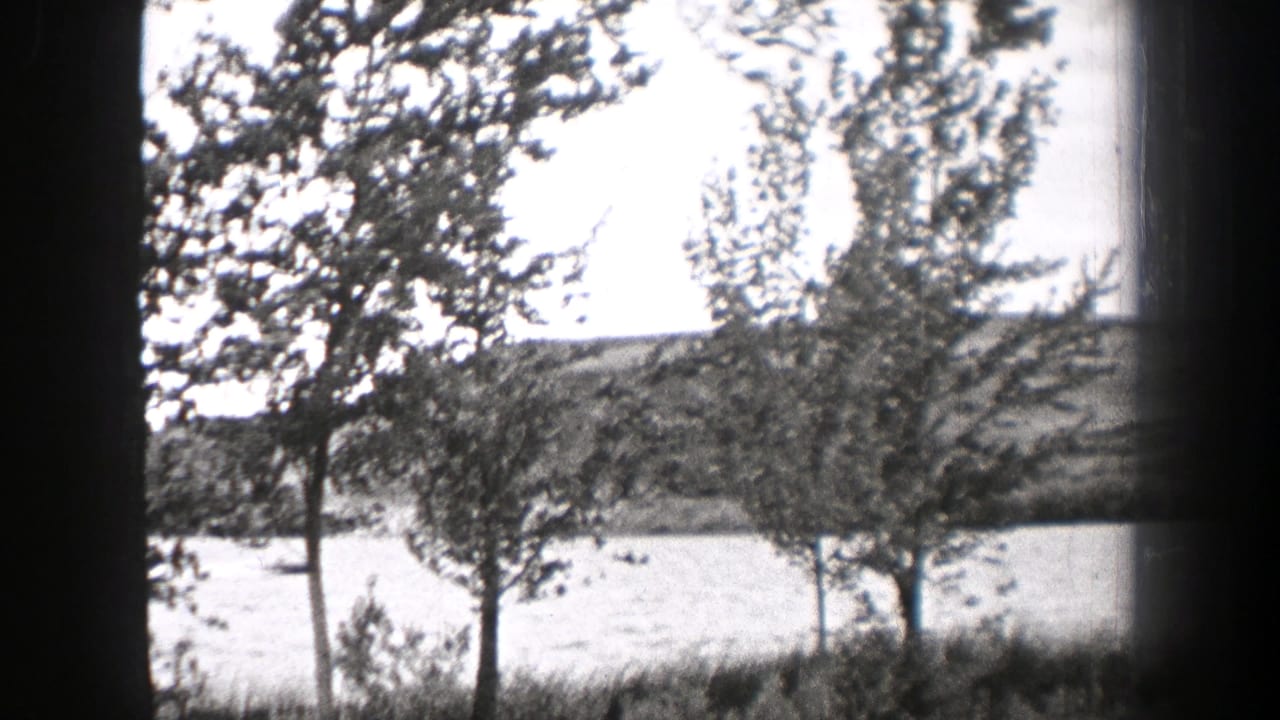 1938 Washington 8mm frame showing trees near bright water or open field, with a distant hillside and dark film-edge vignette.