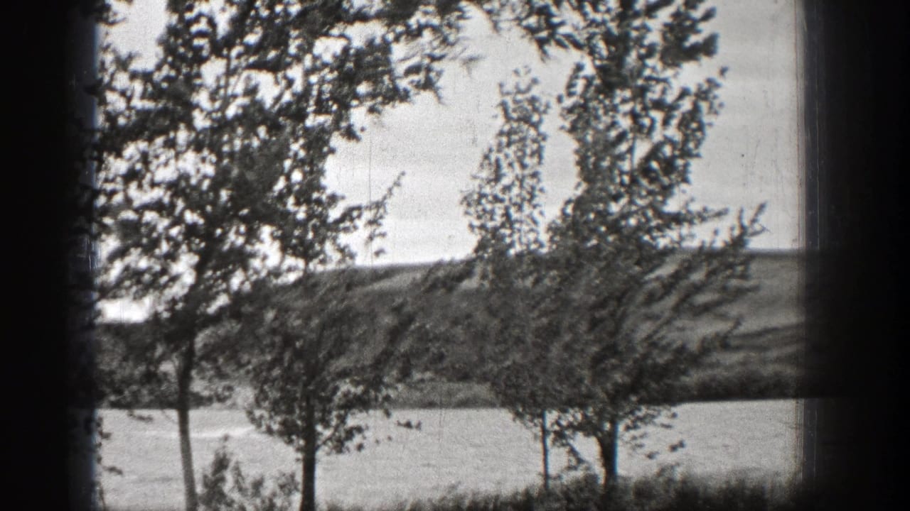 Trees beside a broad body of water with a distant shoreline under a pale sky.