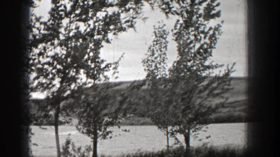 1938 Washington 8mm frame showing trees along a riverside or lakeside park with distant shore across the water.