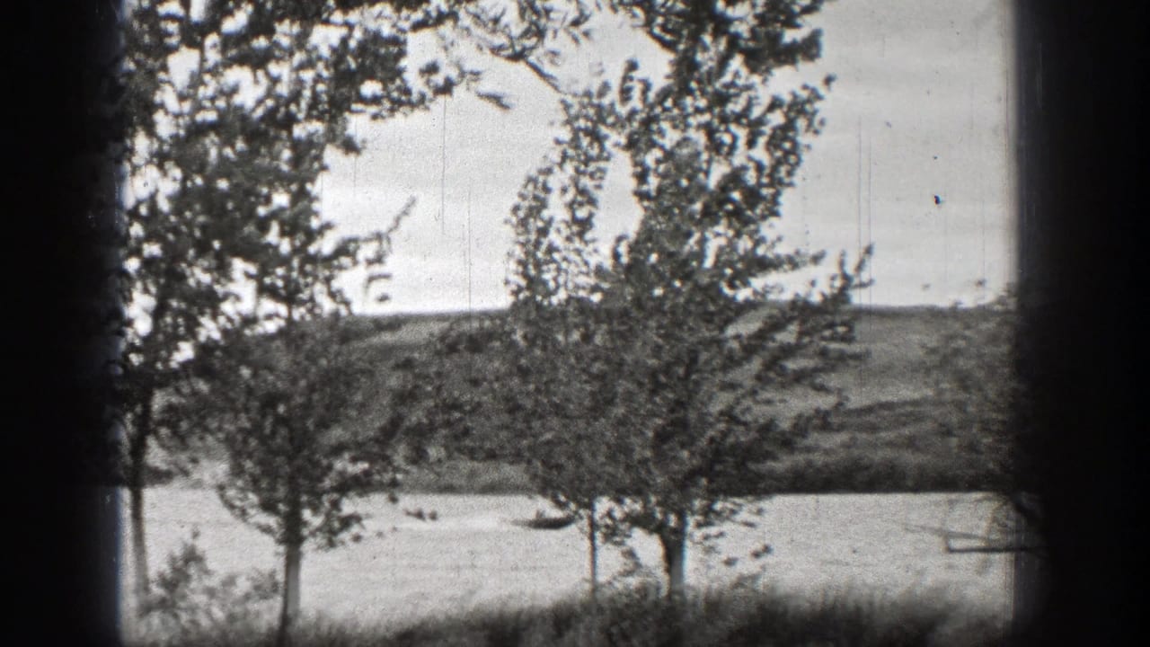 Black-and-white 8mm view of trees by the water in Washington, with a low shoreline visible across the frame.