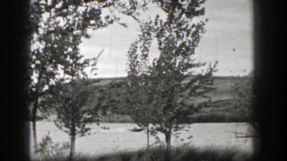 Black-and-white 8mm view of trees by the water in Washington, with a low shoreline visible across the frame.
