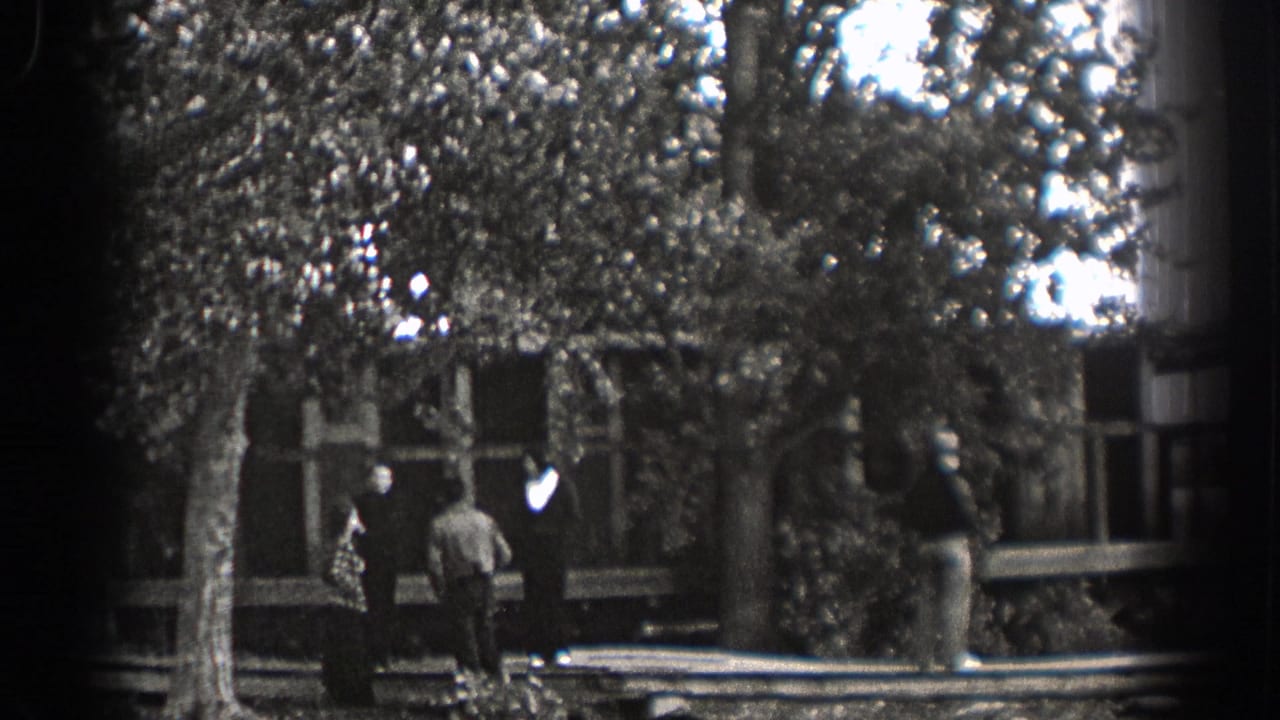 Two distant figures stand near trees and a wooden structure.